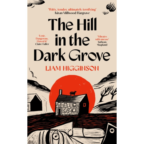Pan Macmillan The Hill in the Dark Grove (häftad, eng)