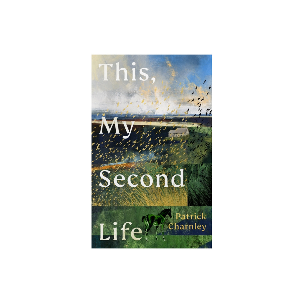 Produktbild för This, My Second Life (inbunden, eng)