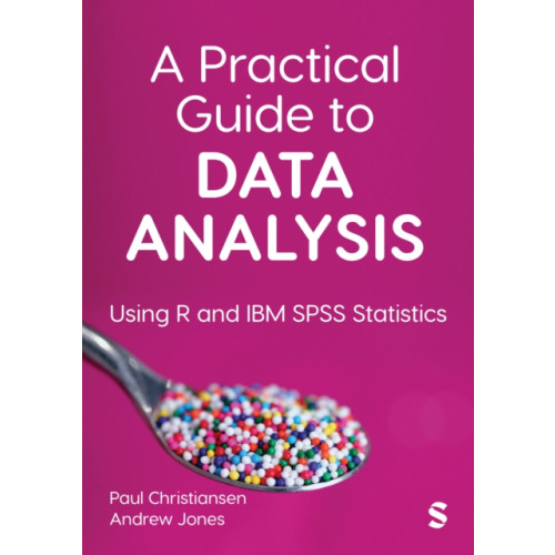 Sage Publications Ltd A Practical Guide to Data Analysis (häftad, eng)