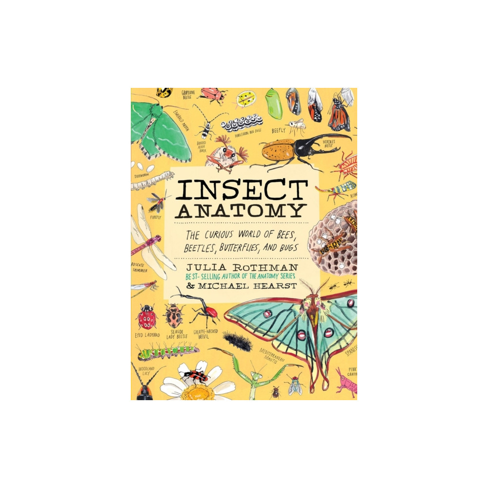 Produktbild för Insect Anatomy (häftad, eng)