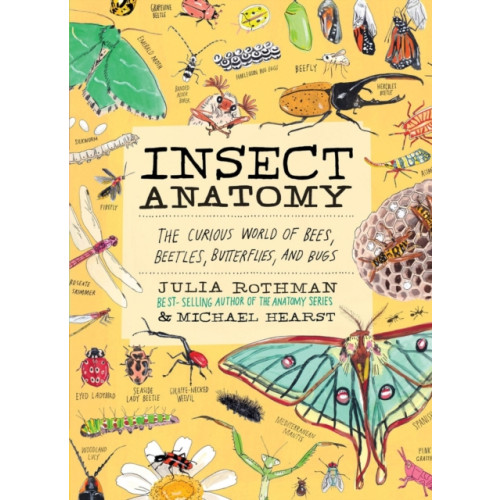 Workman Publishing Insect Anatomy (häftad, eng)