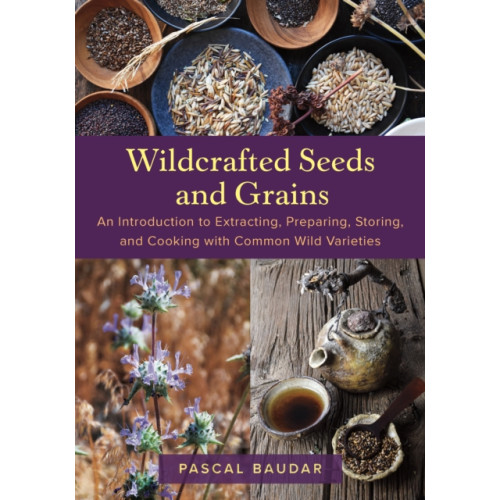 Chelsea Green Publishing Co Wildcrafted Seeds and Grains (häftad, eng)