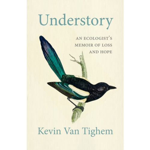 Rocky Mountain Books Understory (häftad, eng)