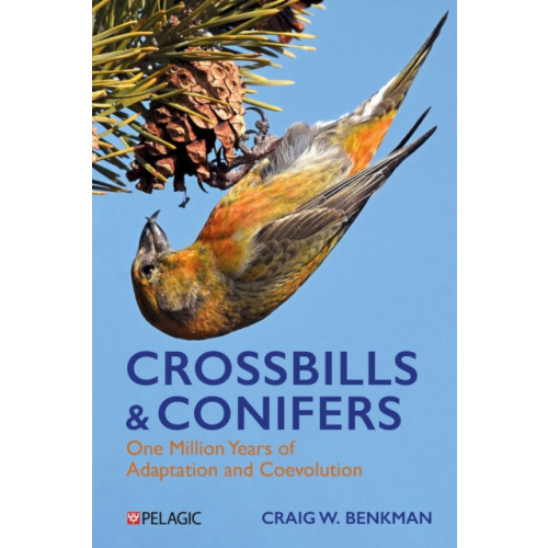Pelagic Publishing Crossbills and Conifers (inbunden, eng)