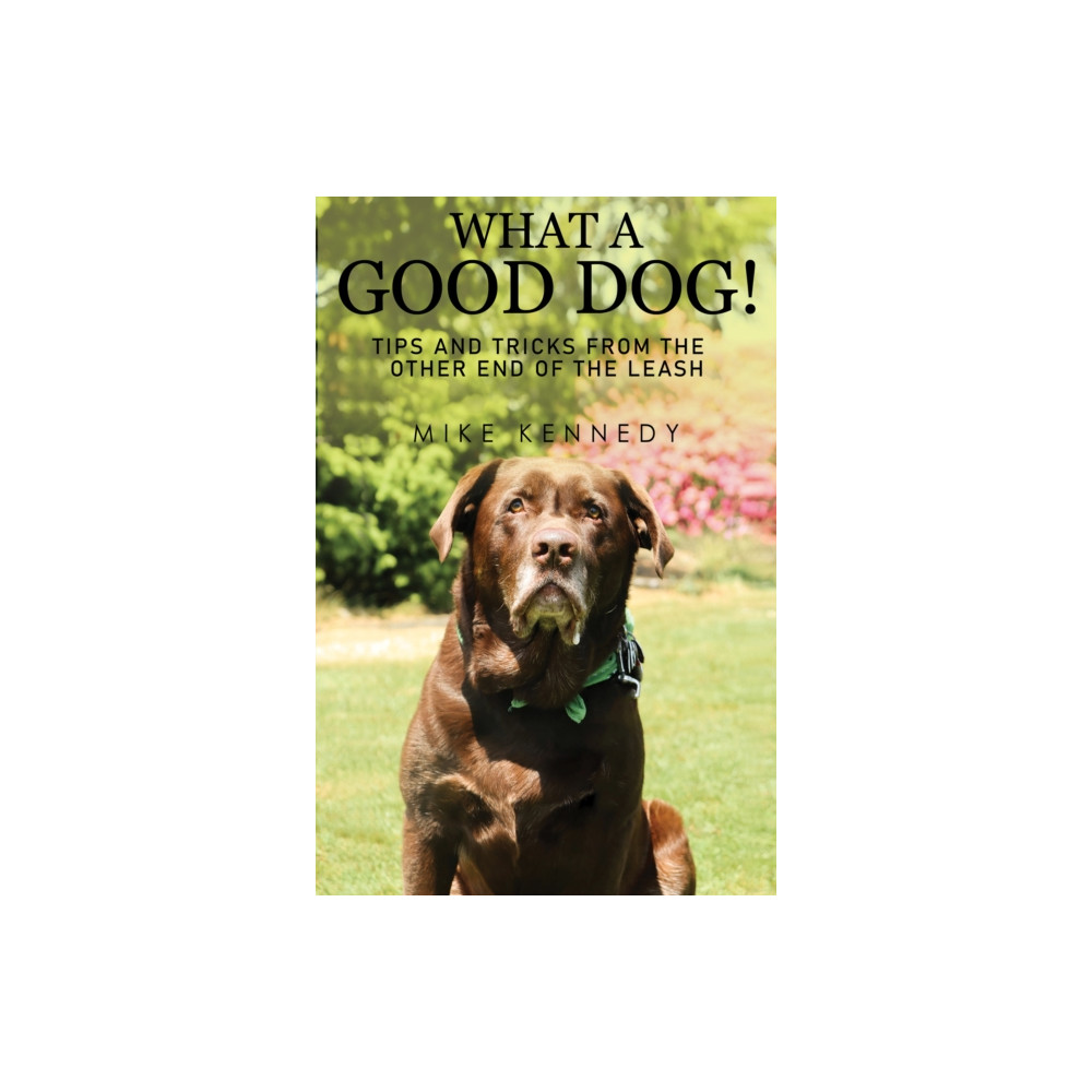 Produktbild för What a Good Dog! Tips and Tricks from the Other End of the Leash. (häftad, eng)