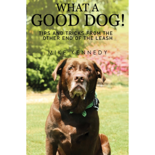 Pegasus Elliot Mackenzie Publishers What a Good Dog! Tips and Tricks from the Other End of the Leash. (häftad, eng)