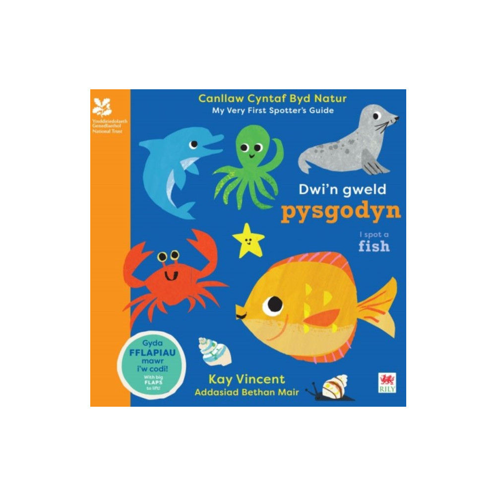 Produktbild för Dwi'n Gweld Pysgodyn / I Spot a Fish (bok, board book, wel)