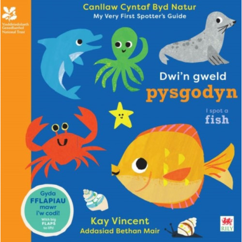 Rily Publications Ltd Dwi'n Gweld Pysgodyn / I Spot a Fish (bok, board book, wel)