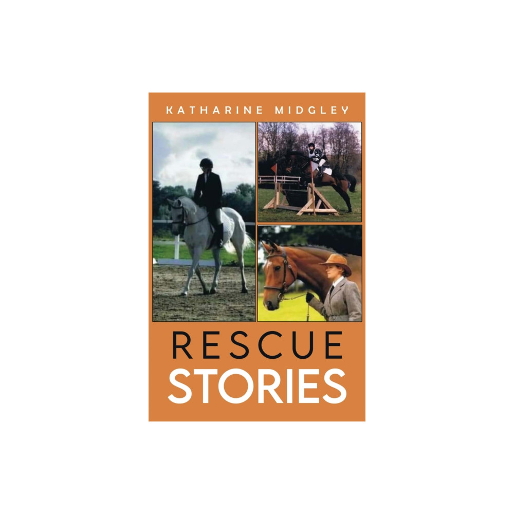 Produktbild för Rescue Stories (häftad, eng)