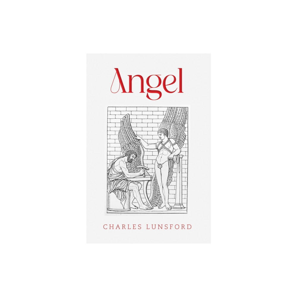 Produktbild för Angel (häftad, eng)