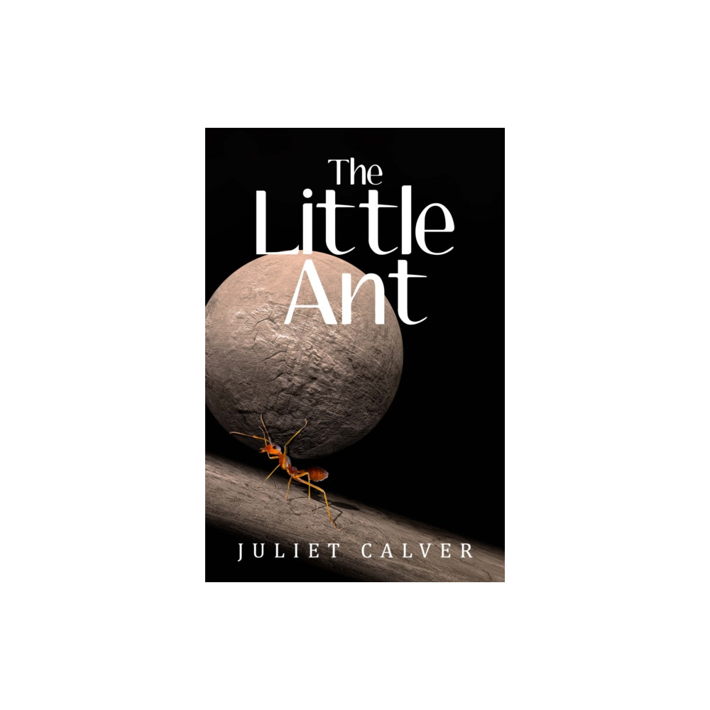 Produktbild för The Little Ant (häftad, eng)