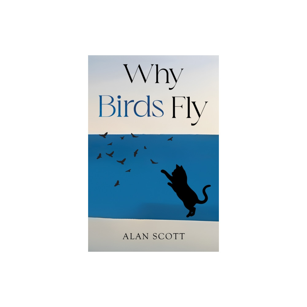 Produktbild för Why Birds Fly (häftad, eng)