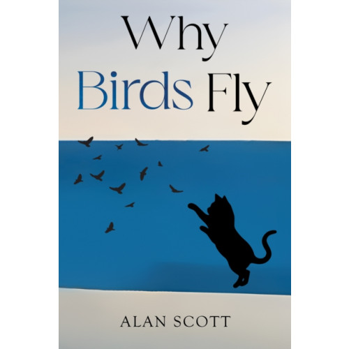 Pegasus Elliot Mackenzie Publishers Why Birds Fly (häftad, eng)