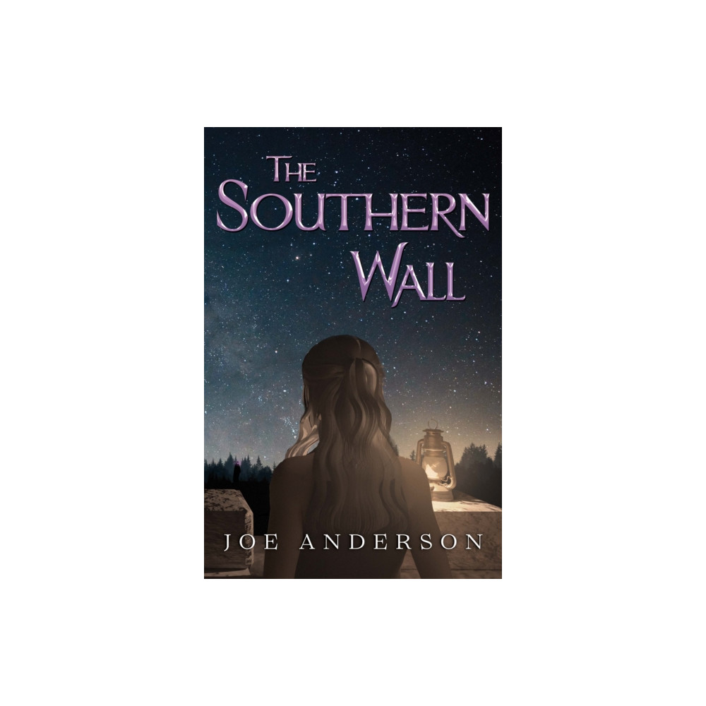 Produktbild för The Southern Wall (häftad, eng)
