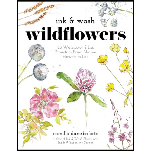Page Street Publishing Co. Ink & Wash Wildflowers (häftad, eng)