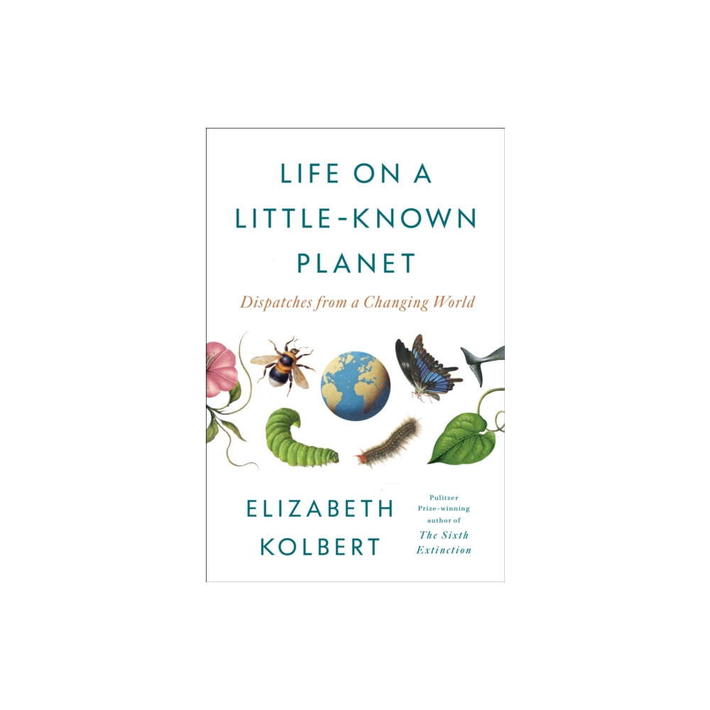 Produktbild för Life on a Little-Known Planet (häftad, eng)