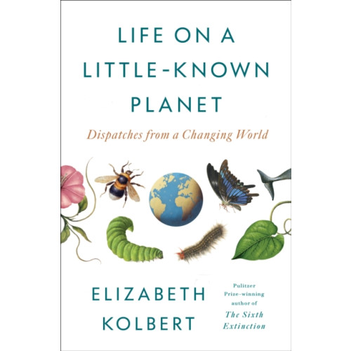 Not Stated Life on a Little-Known Planet (häftad, eng)
