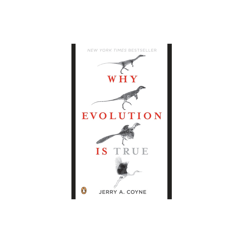 Produktbild för Why Evolution Is True (häftad, eng)