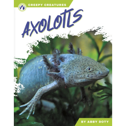 North Star Editions Axolotls (häftad, eng)