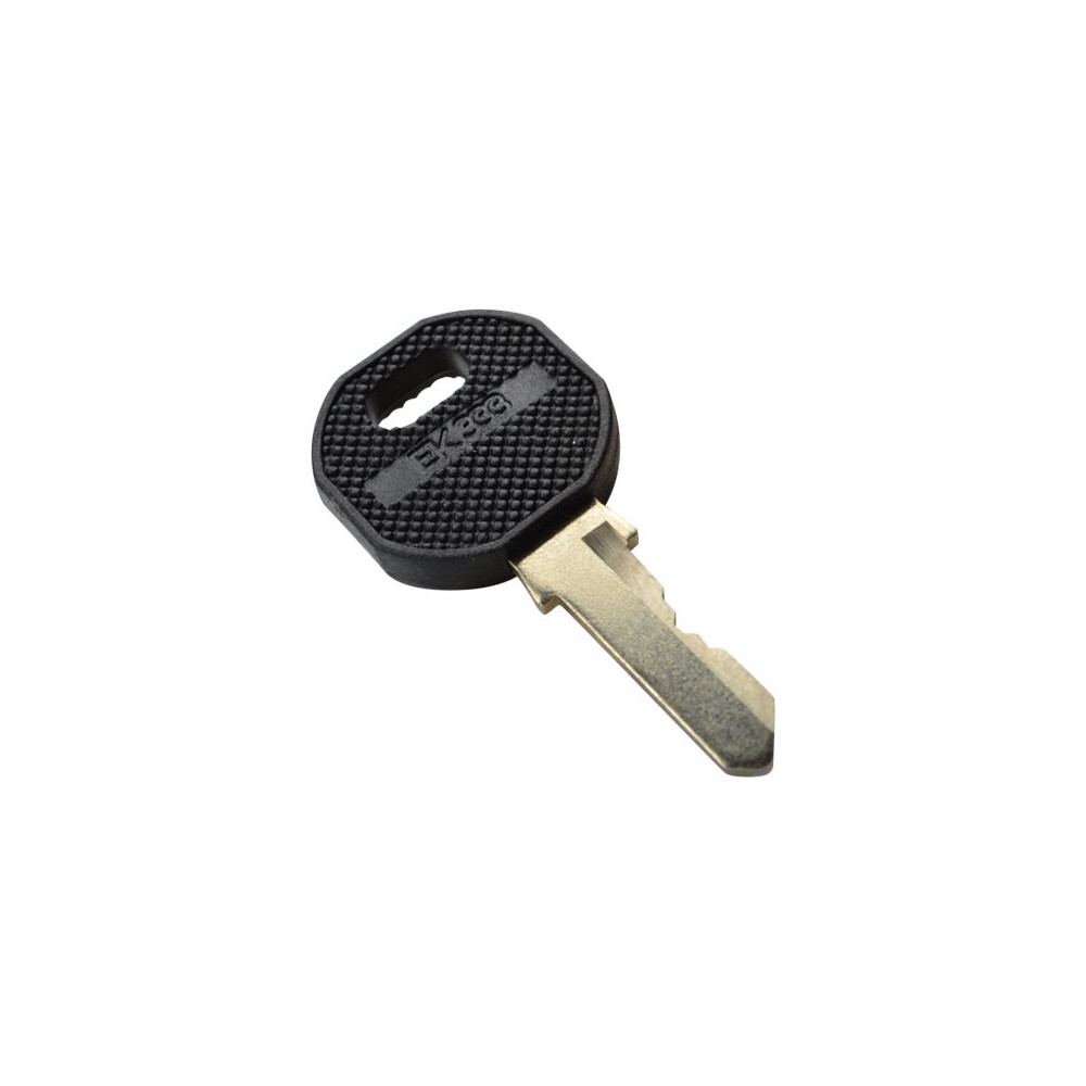 Produktbild för DIGITUS Professional DN-19 KEY-EK333 - nyckel till säkerhetslås för rack