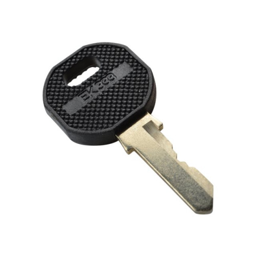 Digitus DIGITUS Professional DN-19 KEY-EK333 - nyckel till säkerhetslås för rack