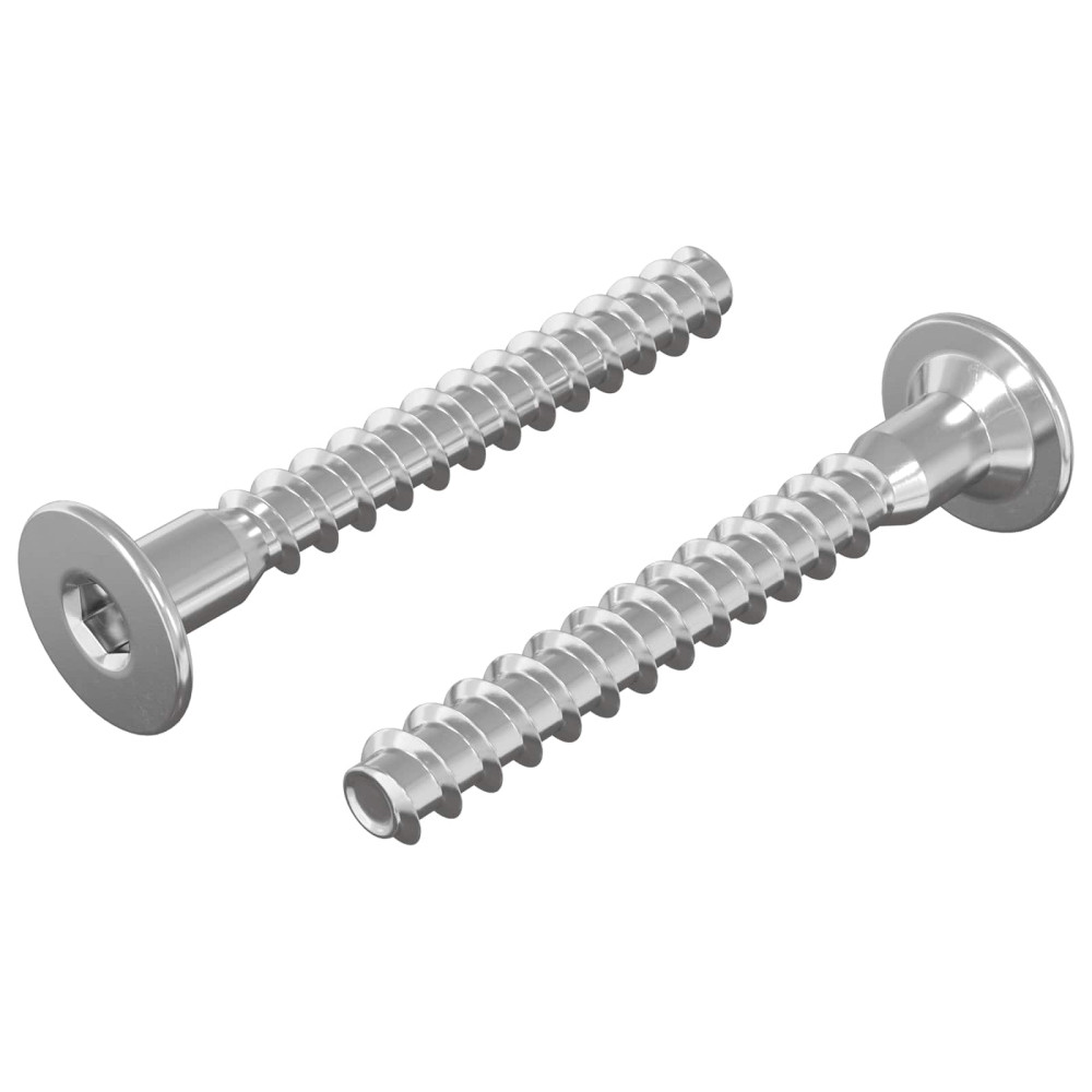 Produktbild för Konfirmationsskruvar 2 pcs Silver Ø5 x 40 mm Metall