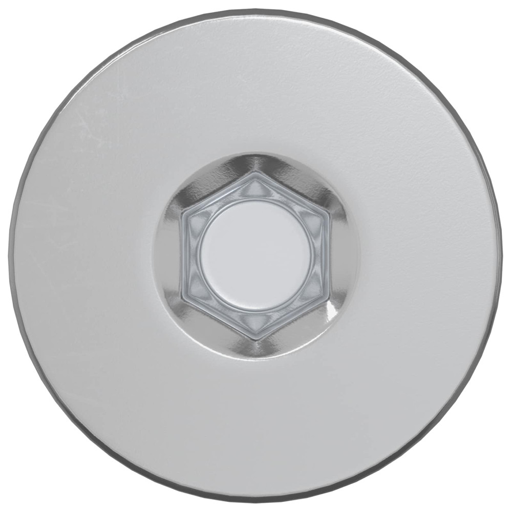 Produktbild för Konfirmationsskruvar 12 pcs Silver Ø5 x 40 mm Metall