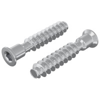 Produktbild för Huvudkapskruv 2 pcs Silver M7 x 40 mm Stål
