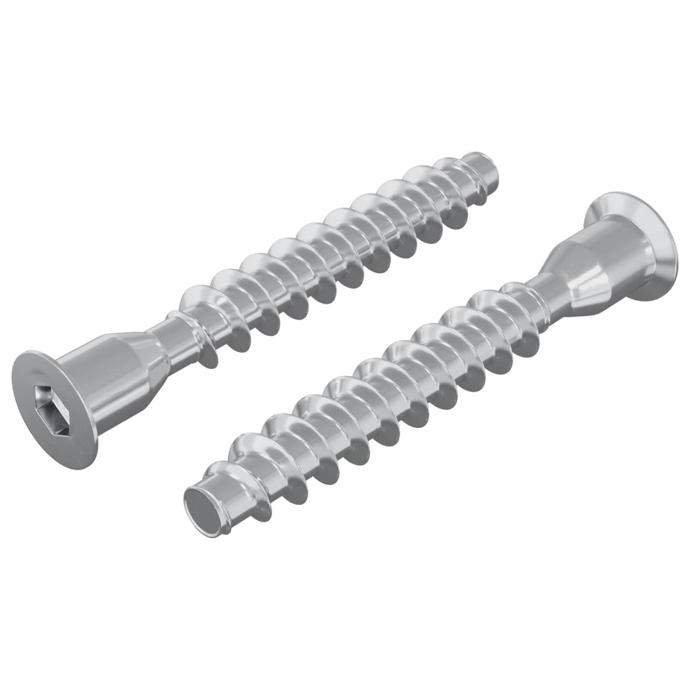 Produktbild för Konfirmationsskruvar 2 pcs Silver Ø7 x 50 mm Metall