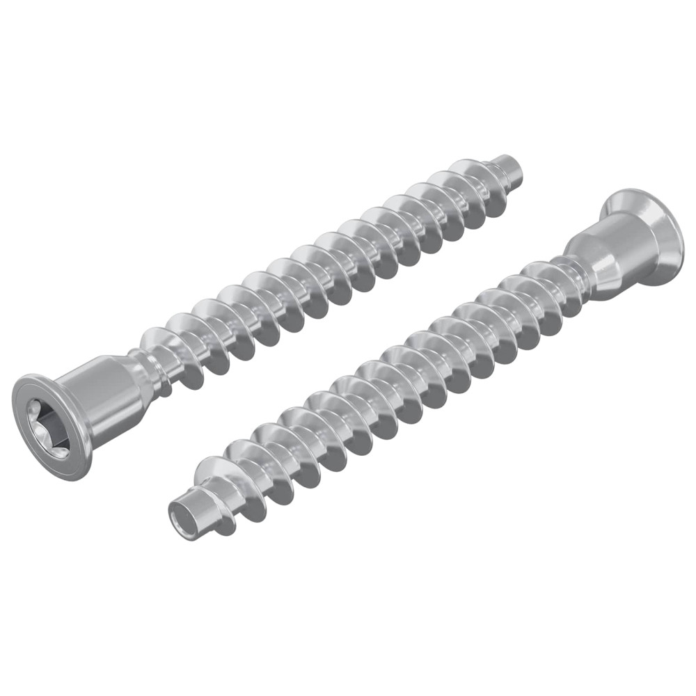 Produktbild för Konfirmationsskruvar 2 pcs Silver Ø7 x 58 mm Metall