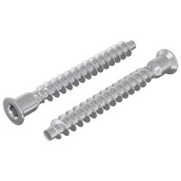 Produktbild för Konfirmationsskruvar 2 pcs Silver Ø7 x 58 mm Metall