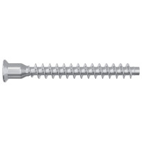 Produktbild för Konfirmationsskruvar 2 pcs Silver Ø7 x 58 mm Metall
