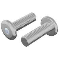 Produktbild för Skruv 2 pcs Silver 8 x 25 mm Stål