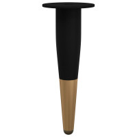 Produktbild för Möbelfötter 2 pcs Svart och Guld Ø 40 x 98 mm Järn