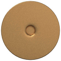 Produktbild för Stående Fötter 2 pcs Guld 98 x 40 mm Järn