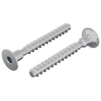 Produktbild för Skruv 2 pcs Zinkbelagd 5 x 40 mm Järn