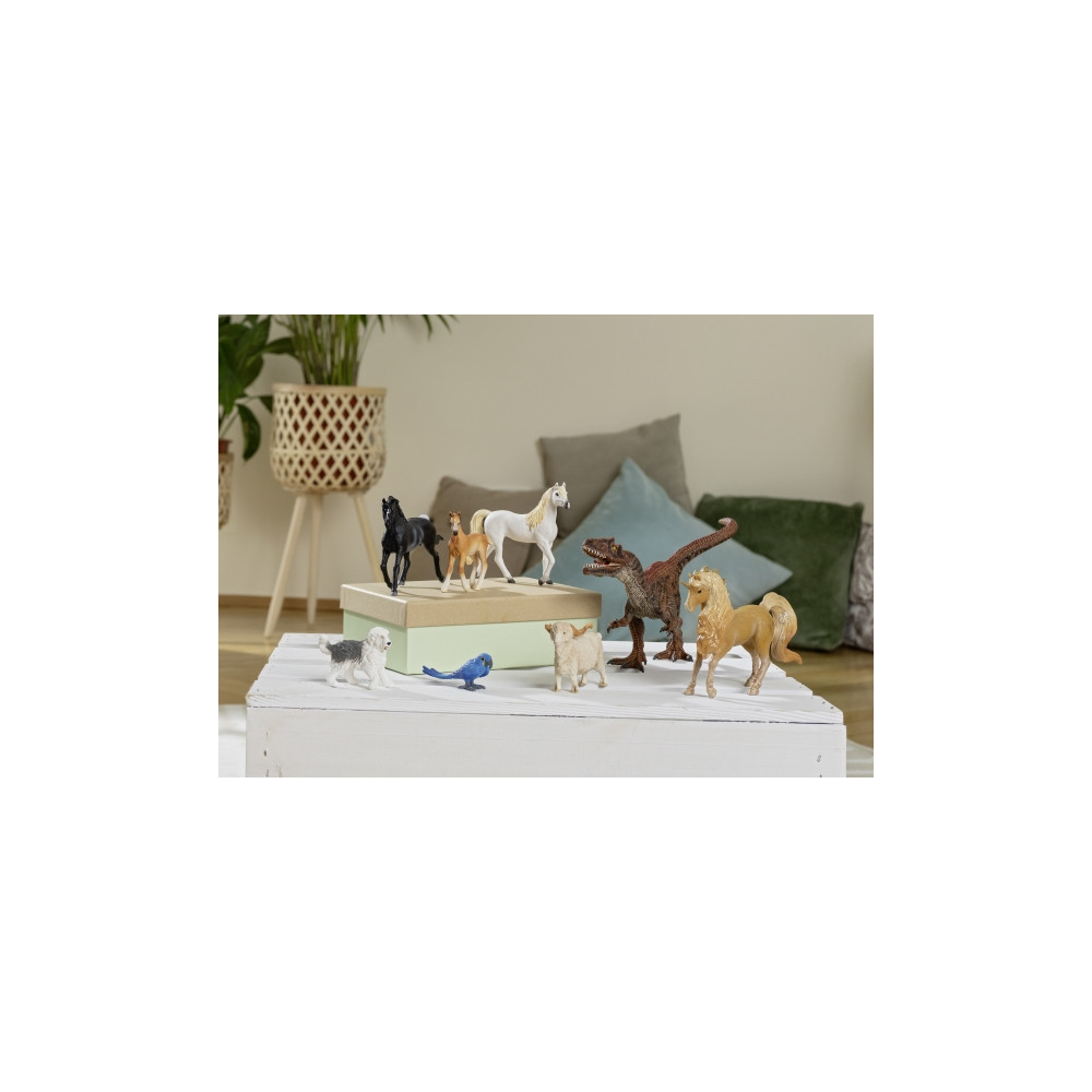 Produktbild för schleich FARM WORLD 13968, 3 År, Dogs, Farm animals / farm t...