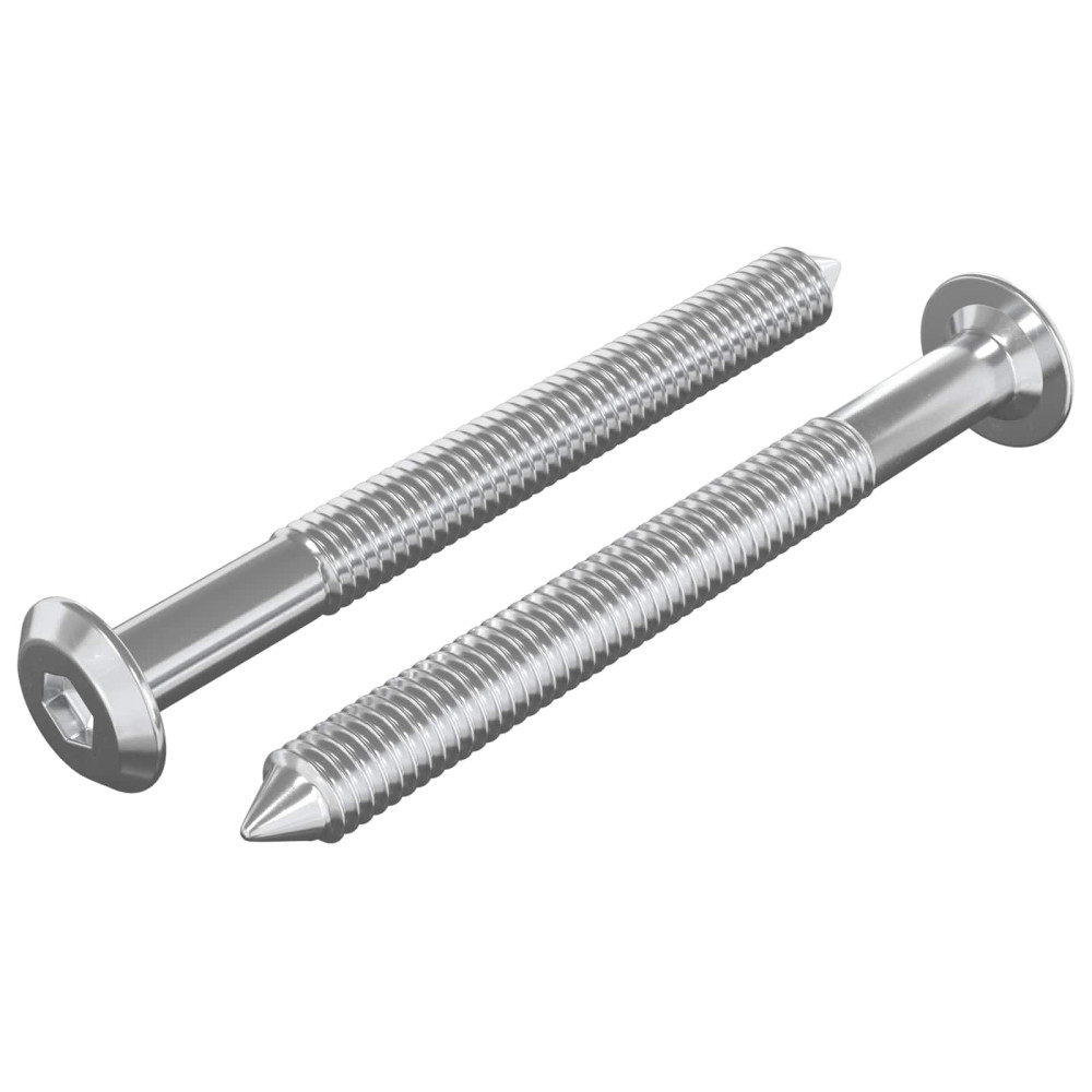 Produktbild för Möbelskruvar 2 pcs Silver M6 x 60 mm Stål