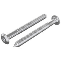 Produktbild för Möbelskruvar 2 pcs Silver M6 x 60 mm Stål