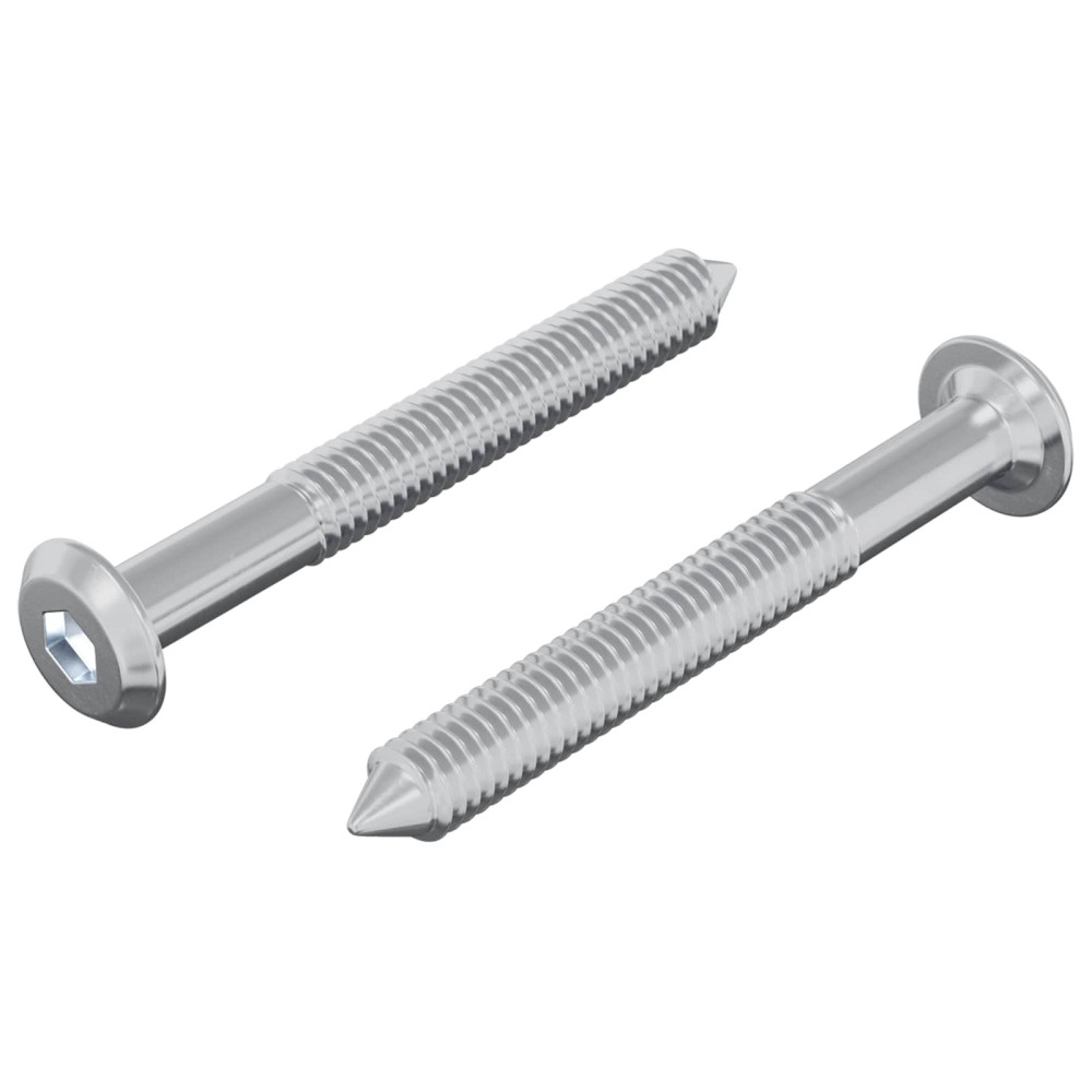Produktbild för Skruv 2 pcs Silver M6 x 50 mm Stål