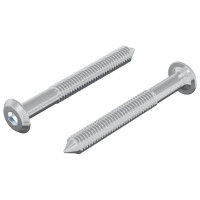 Produktbild för Skruv 2 pcs Silver M6 x 50 mm Stål