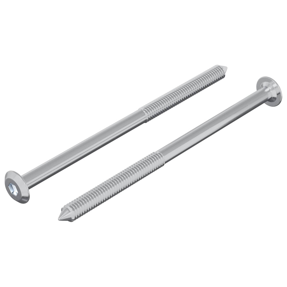 Produktbild för Skruv 2 pcs Silver M6 x 100 mm Stål