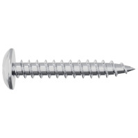 Produktbild för Självgängande spik 2 pcs Zinkbelagd 4 x 25 mm Stål