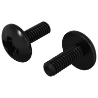 Produktbild för Hylsskruvar 2 pcs Svart M4 x 10 mm Stål