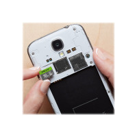 Produktbild för PNY Elite - flash-minneskort - 16 GB - microSDHC UHS-I