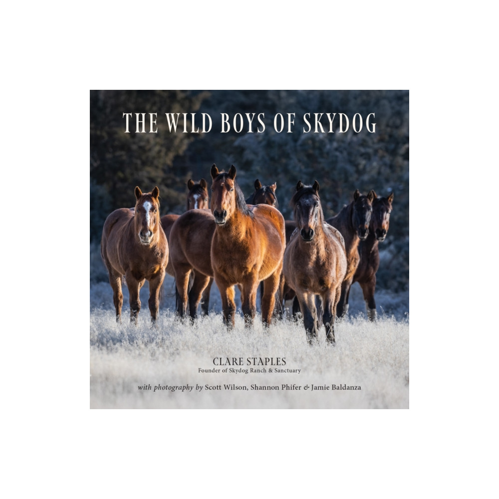 Produktbild för The Wild Boys of Skydog (inbunden, eng)