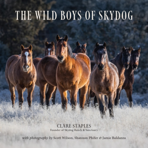 Trafalgar Square The Wild Boys of Skydog (inbunden, eng)