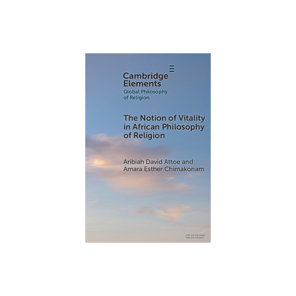 Produktbild för The Notion of Vitality in African Philosophy of Religion (häftad, eng)