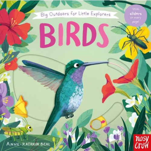 Nosy Crow Ltd Big Outdoors for Little Explorers: Birds (bok, board book, eng)