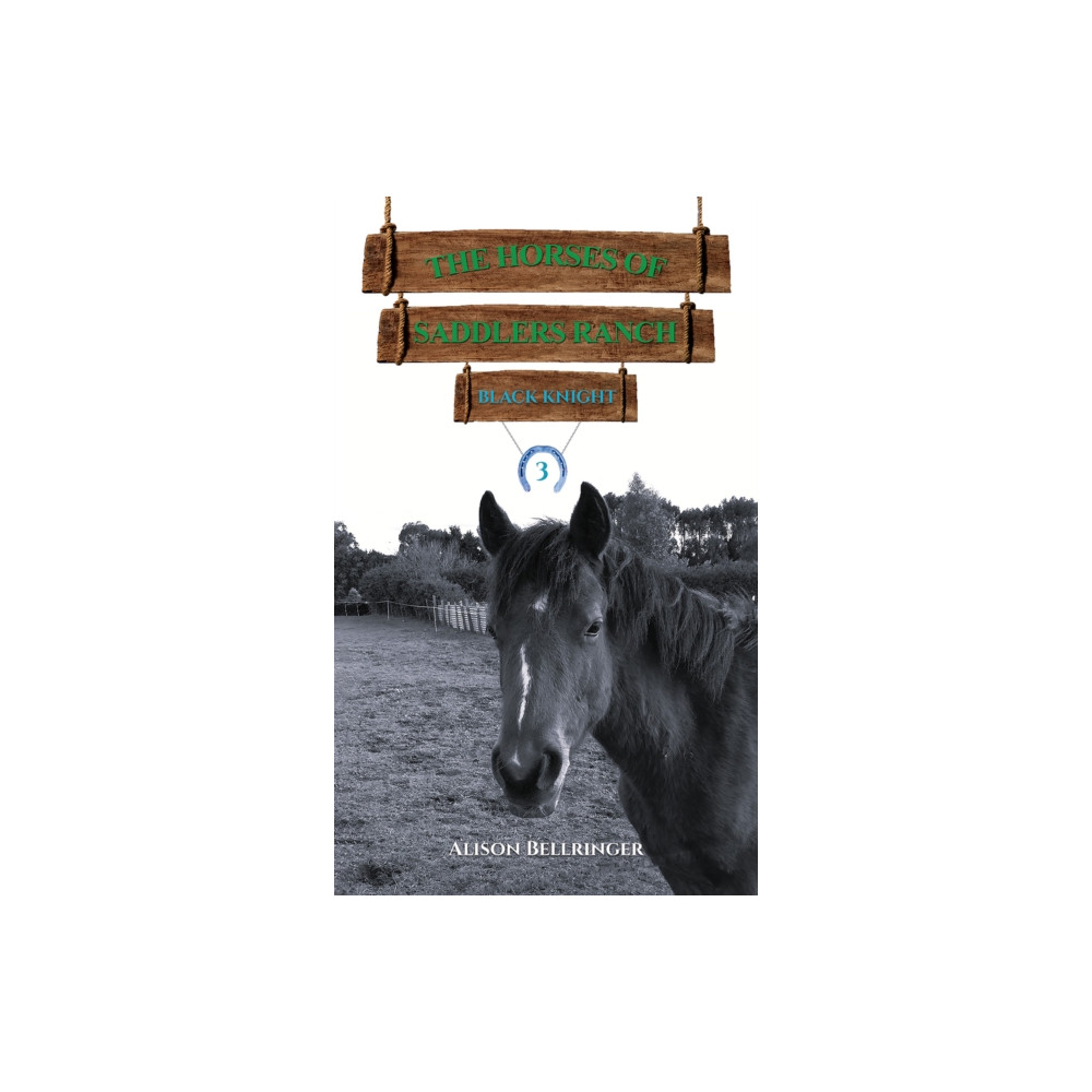 Produktbild för The Horses of Saddlers Ranch: Black Knight (häftad, eng)